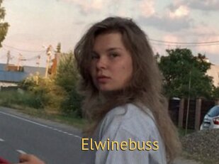 Elwinebuss