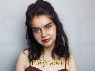 Elwynabench