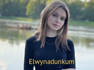Elwynadunkum
