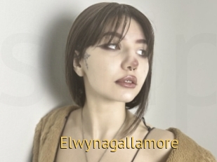 Elwynagallamore