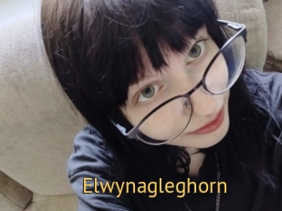 Elwynagleghorn