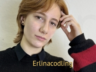 Erlinacodling