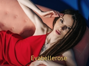 Evabellerose