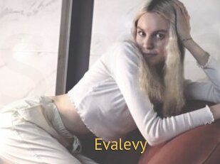 Evalevy