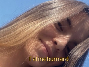 Falineburnard