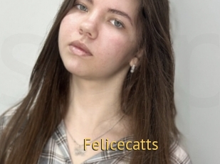 Felicecatts