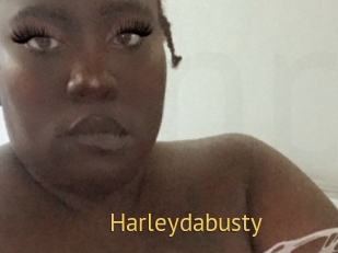 Harleydabusty