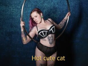 Hot_cute_cat