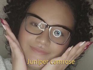 Juniper_camrose