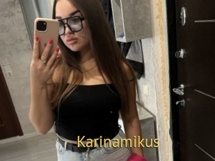 Karinamikus