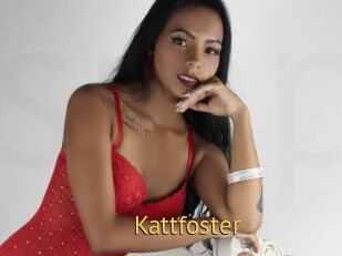 Kattfoster