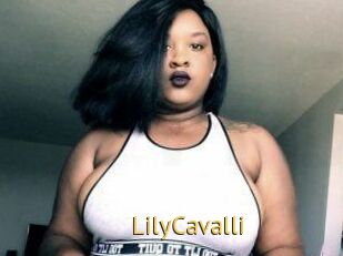 Lily_Cavalli