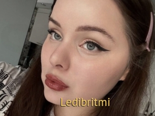 Ledibritmi