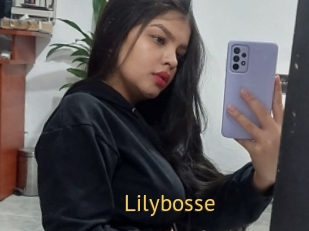 Lilybosse