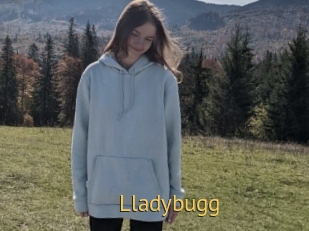 Lladybugg