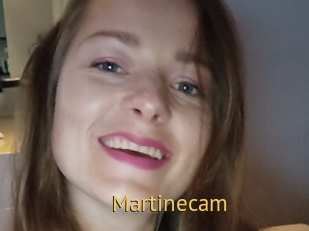 Martinecam