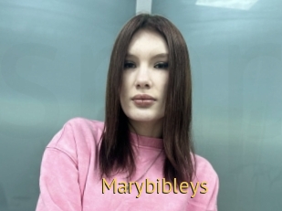 Marybibleys