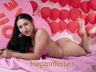 Megannfosterr