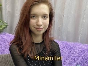 Minamiler