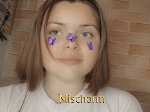 Mischarm