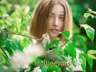 Mollieevans