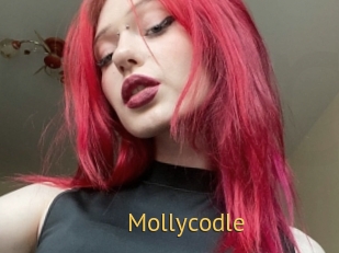 Mollycodle