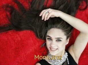 Monicacat