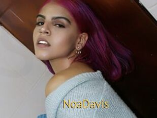 NoaDavis