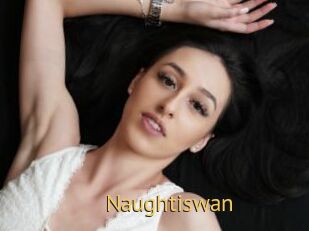 Naughtiswan