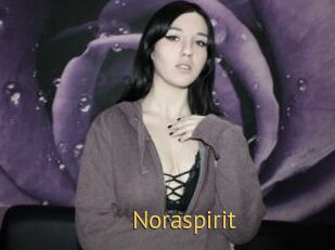 Noraspirit