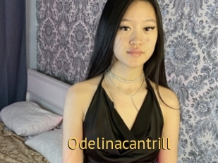 Odelinacantrill