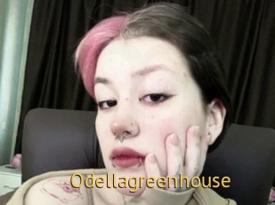Odellagreenhouse