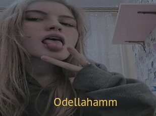 Odellahamm