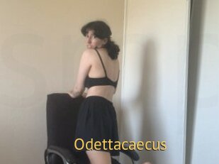 Odettacaecus