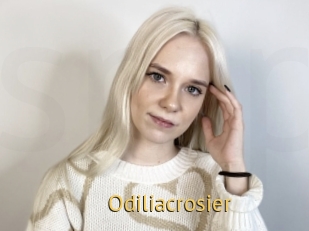 Odiliacrosier