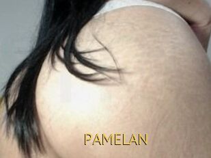 PAMELA_N