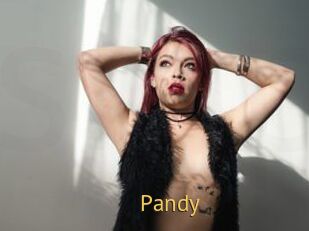 Pandy