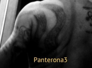 Panterona3