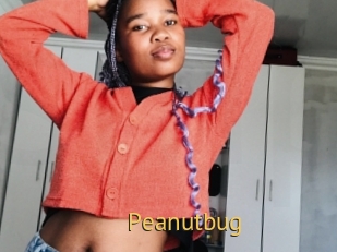 Peanutbug