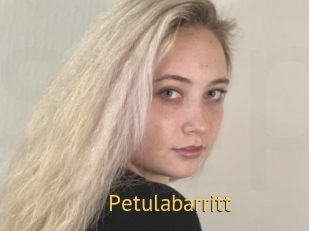 Petulabarritt