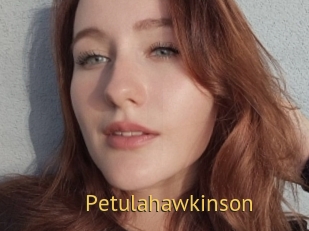 Petulahawkinson