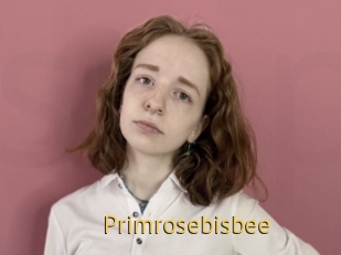 Primrosebisbee