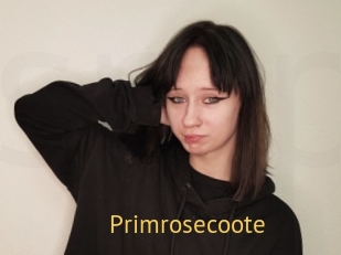 Primrosecoote