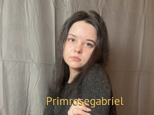 Primrosegabriel