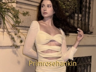 Primrosehankin