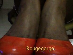 Rougegorge