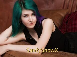 SandySnowX