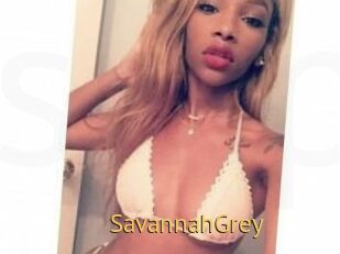 Savannah_Grey