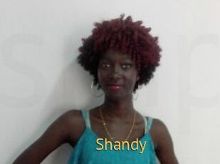 Shandy