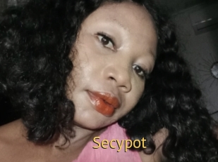 Secypot